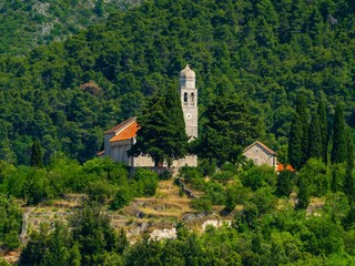 Holiday house Svirce  123