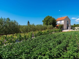 Casa de vacaciones Polača Grabación al aire libre 22