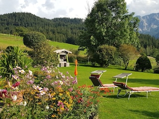 Blick vom Balkon in den Garten