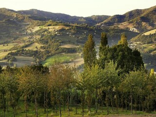 Villa Valfabbrica Environment 22