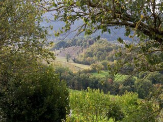 Villa Valfabbrica Environment 23