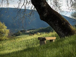 Villa Valfabbrica Environment 27