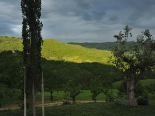 Villa Valfabbrica Ambiente 24