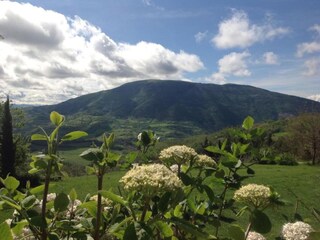 Villa Valfabbrica Ambiente 31