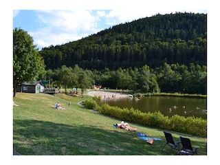 Am See - Badebereich und Liegewiese