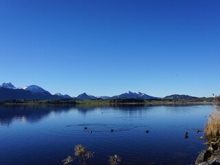 Hopfensee/Füssen