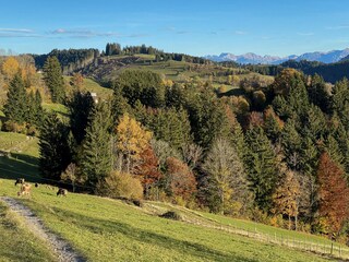 Wandern/Radfahren in der nahen Umgebung