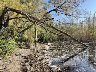 Ferienwohnung Bugewitz Umgebung 10