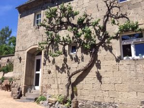 Casa per le vacanze La Vecchia Capanna di Heide - Rieden (Eifel) - image1