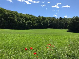 Casa de vacaciones Rieden (Eifel) Entorno 20
