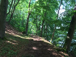 Vakantiehuis Rieden (Eifel) Omgeving 21