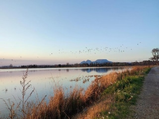 Apartment Begur Umgebung 33