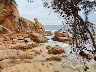 Villa Blanes Environment 20