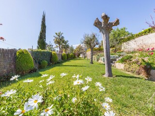 Villa Blanes Registrazione all'aperto 3