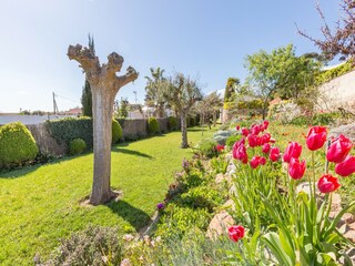 Villa Blanes Registrazione all'aperto 3