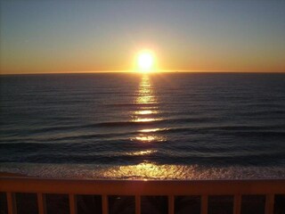 Villa Blanes Environment 31