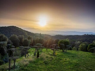 Villa Lloret de Mar Omgeving 31