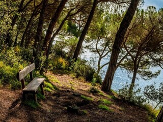 Villa Tossa de Mar Ambiente 36