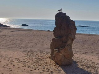 Villa Vidreres Environment 28