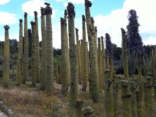 Villa Vidreres Omgeving 31