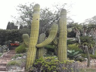 Villa Vidreres Environnement 24