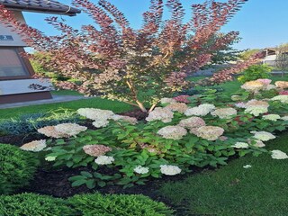 Apartment Welt Außenaufnahme 6