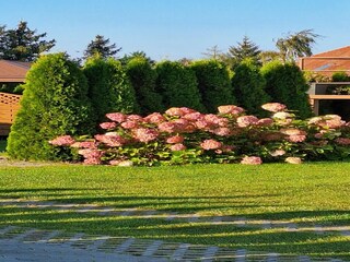 Apartment Welt Außenaufnahme 7