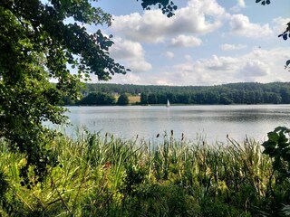 Maison de vacances Kołczewo Environnement 24