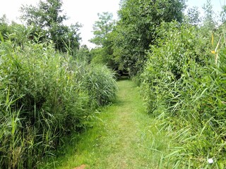 Apartamento Kołczewo Grabación al aire libre 6