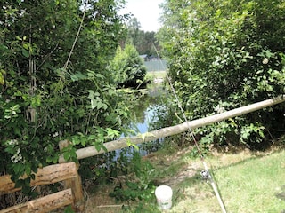 Apartment Kołczewo Outdoor Recording 8
