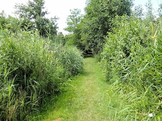 Appartement Kołczewo Buitenaudio-opname 5