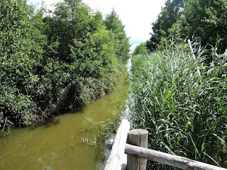 Appartamento Kołczewo Registrazione all'aperto 7