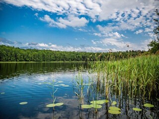 Ferienhaus Welt Umgebung 19