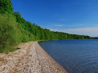 Maison de vacances Grzybowo Environnement 16