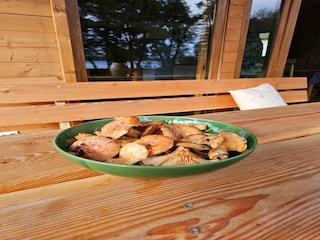 Holiday house Grzybowo Outdoor Recording 4