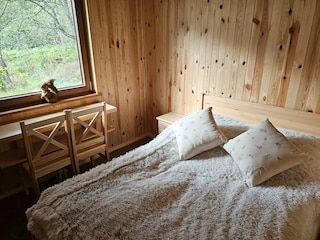 Casa per le vacanze Grzybowo Caratteristiche 15