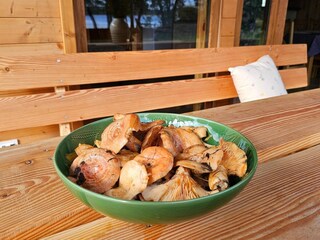 Maison de vacances Grzybowo  43