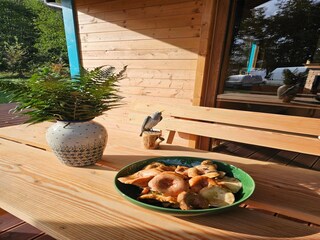 Casa per le vacanze Grzybowo Registrazione all'aperto 4