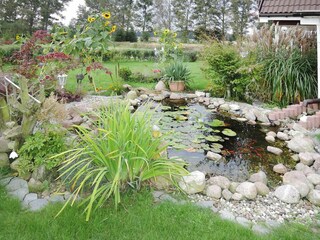 Parque de vacaciones Kołczewo Entorno 22