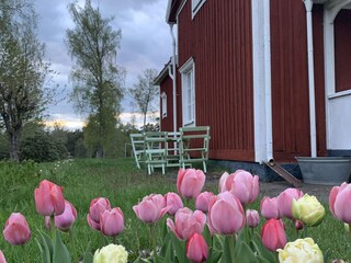 Holiday house Flisby Outdoor Recording 15
