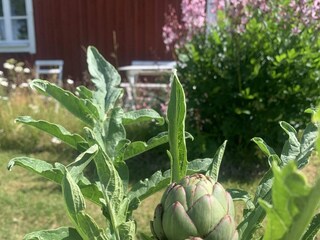 Holiday house Flisby Outdoor Recording 13