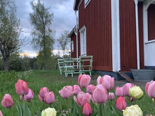 Holiday house Flisby Outdoor Recording 7