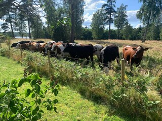 Holiday house Flisby Outdoor Recording 9