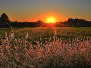 Ferienhaus Ingarö  7