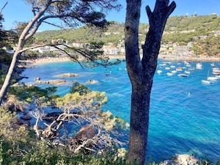 Villa Llafranc Environment 6