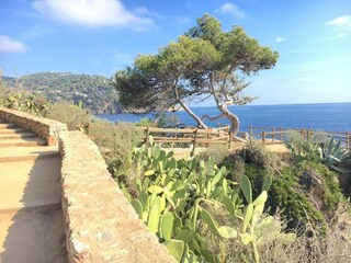 Villa Llafranc Environnement 8