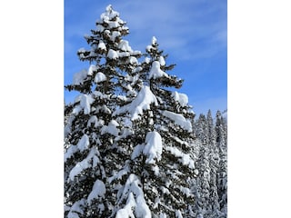 Skigebiet Weisses Hochland