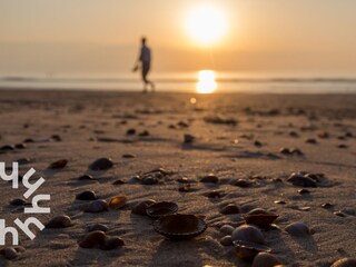 Holiday house Domburg Environment 28