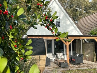 Gemütliches Ferienhaus mit schattiger Terrasse.