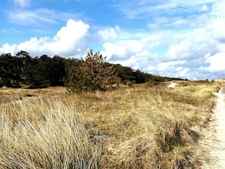 etwas frische Luft schnappen